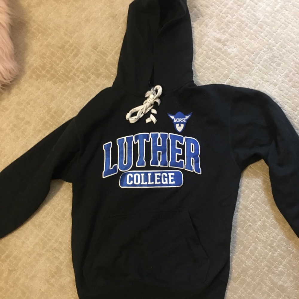 Luther Collage Norse hoodie
